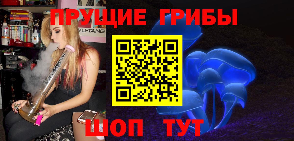 Гусев  Псилоцибиновые грибы GOLDEN TEACHER  Галлюциногенные грибы GOLDEN TEACHER  Вход с VPN 