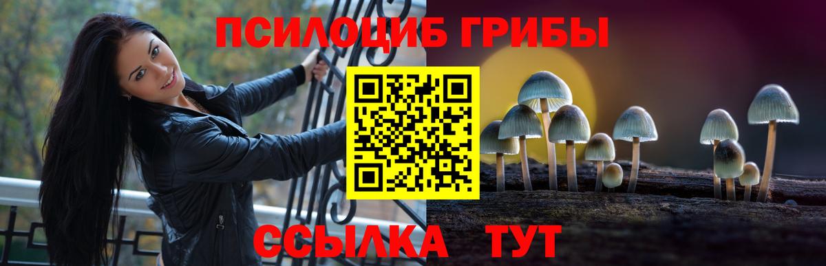 Галлюциногенные грибы MAGIC MUSHROOMS Гусев
